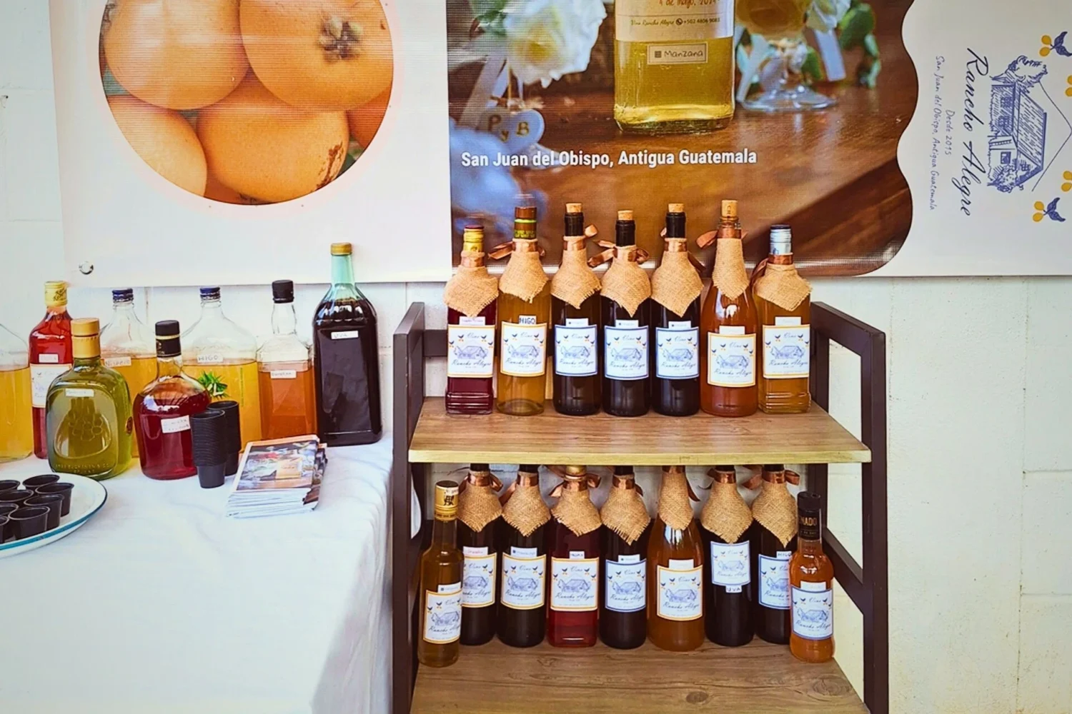 wine tasting tour san juan del obispo antigua