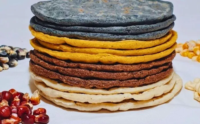 Make Your Own Tortillas